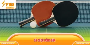 Cá cược bóng bàn