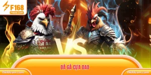 Đá gà cựa dao