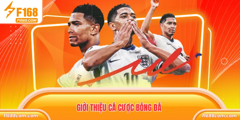 Giới thiệu cá cược bóng đá
