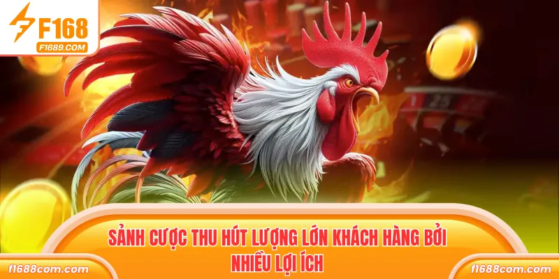 Sảnh cược thu hút lượng lớn khách hàng bởi nhiều lợi ích