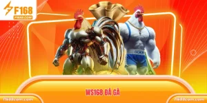 WS168 Đá Gà